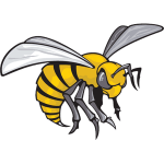 Alabama State Hornets